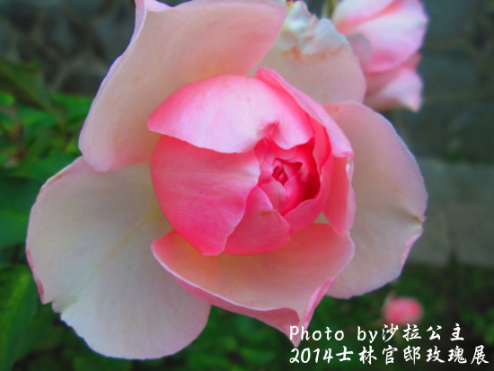 IMG_7781.jpg IMG_7781.jpg