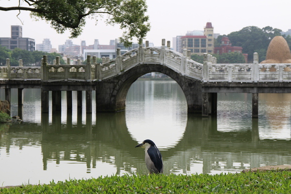 碧湖公園：4千根竹子編成！ 內湖夢幻新地標「碧湖織屋」