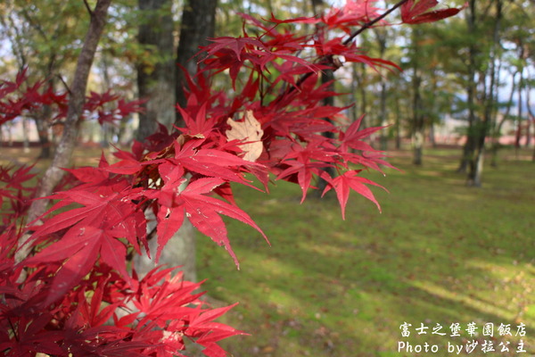 富士之堡華園飯店：富士之堡華園飯店【環境篇】我看到富士山了