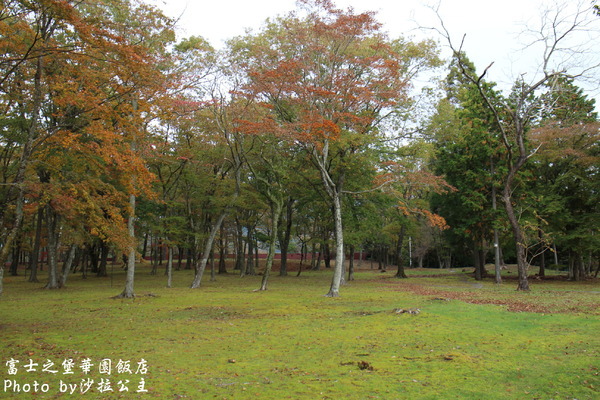 富士之堡華園飯店：富士之堡華園飯店【環境篇】我看到富士山了