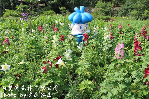 內雙溪森林自然公園:士林-內雙溪自然中心(免費參觀) 內雙溪森林自然公園:士林-內雙溪自然中心(免費參觀)