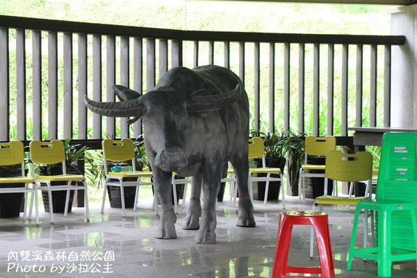 內雙溪森林自然公園：士林-內雙溪自然中心(免費參觀)