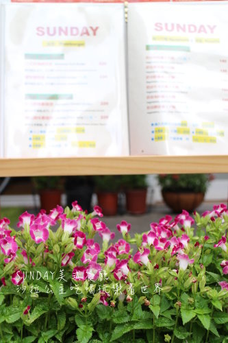 IMG_4123.JPG IMG_4123.JPG