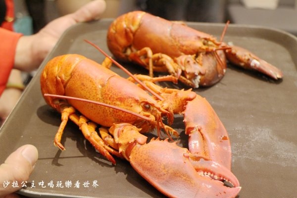 IMG_6302.JPG IMG_6302.JPG