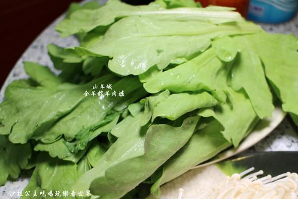 蘆洲山羊城10 蘆洲山羊城10