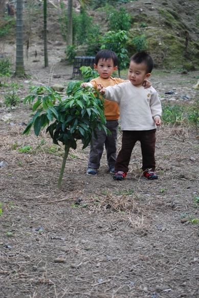 DSC_0438.JPG DSC_0438.JPG