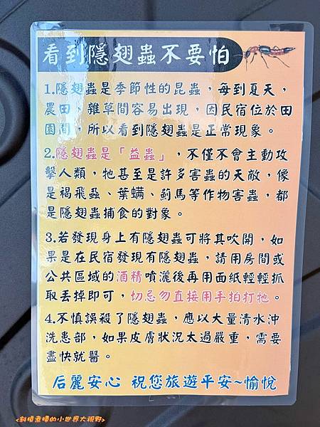 【一起出遊吧！住宿篇】二訪-后麗安心親子時尚旅宿（風自然2館