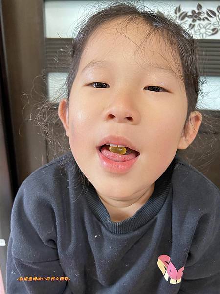 419513180_411775348019505_8178291967607450153_n.jpg 試用