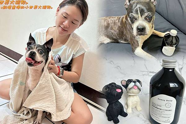 【萌寵歐麥】Downy Belly皮膚救急胺基酸洗毛精-IP 試用