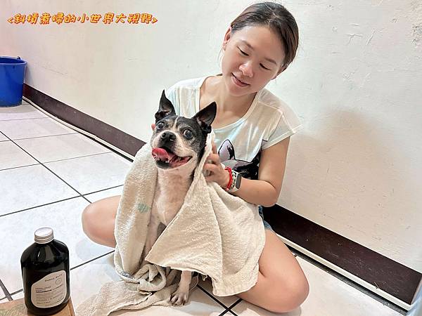 【萌寵歐麥】Downy Belly皮膚救急胺基酸洗毛精-IP 試用