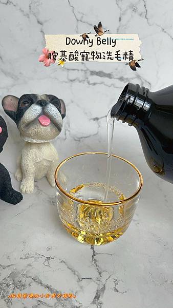 【萌寵歐麥】Downy Belly皮膚救急胺基酸洗毛精-IP