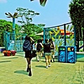 ocean park