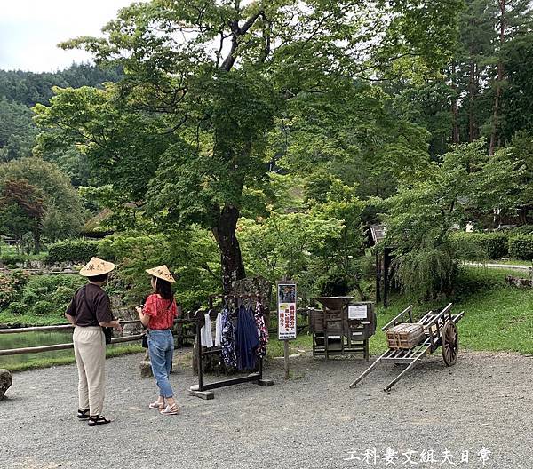 S__7389281.jpg S__7389281.jpg