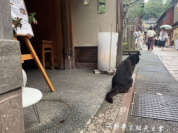 S__7430302.jpg S__7430302.jpg