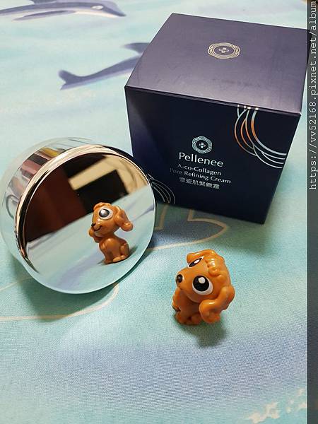 20181119_031414.jpg 試用