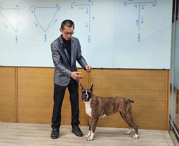 拳師犬，杜賓犬，指導手介紹 講師：楊明華