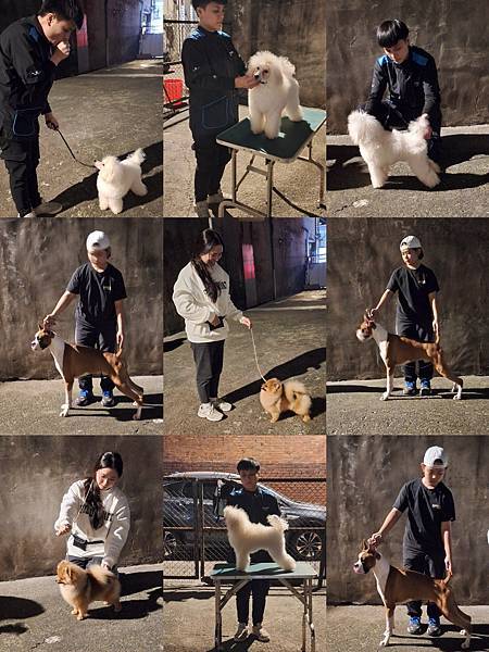 2025(11月)專業指導手課程教學