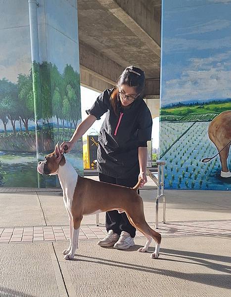 2025(12月)專業指導手課程教學