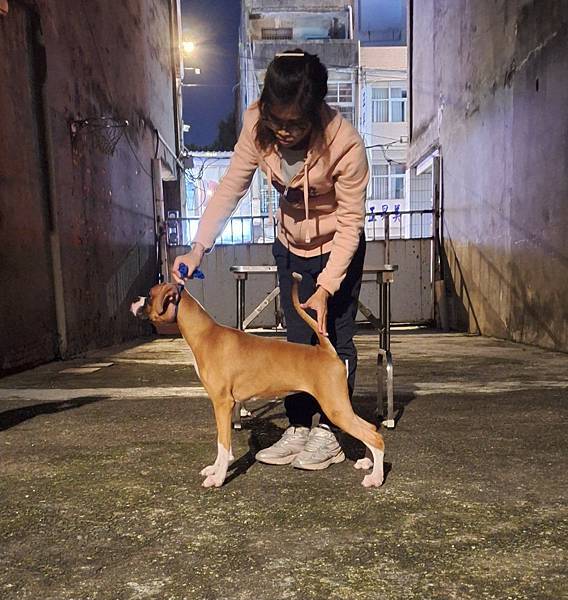 2025(12月)專業指導手課程教學