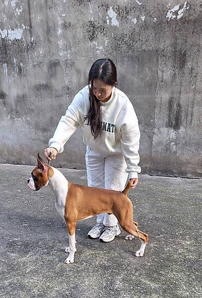 2025(12月)專業指導手課程教學