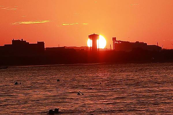 IMG_2290.JPG IMG_2290.JPG