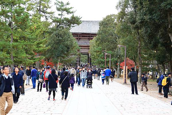 【日本-奈良】東大寺 (金光明四天王護國之寺)