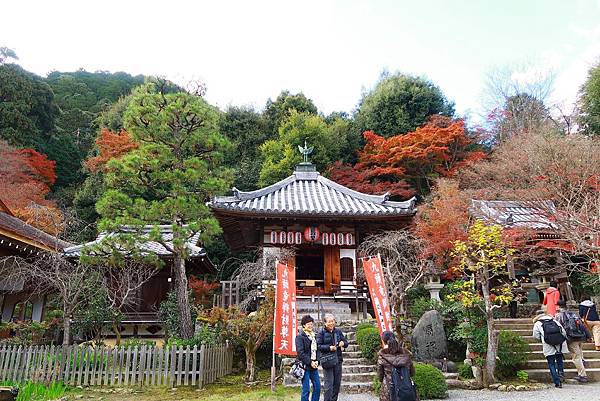 【日本-嵐山】小倉山二尊院，美麗的紅葉參道