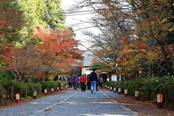 【日本-嵐山】小倉山二尊院，美麗的紅葉參道