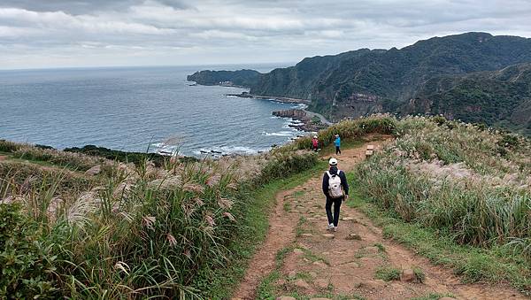 【瑞芳】2021南子吝步道~秋季限定芒花美景