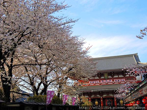 _SCN9020.JPG _SCN9020.JPG