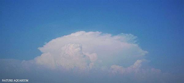 100_8560.JPG 100_8560.JPG