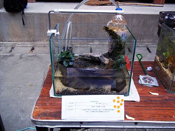 nEO_IMG_100_4035.jpg nEO_IMG_100_4035.jpg