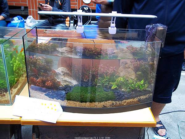 nEO_IMG_100_4081 第二期 (2).jpg nEO_IMG_100_4081 第二期 (2).jpg