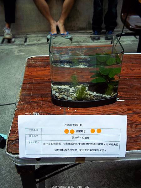 nEO_IMG_100_4081 第二期 (3).jpg nEO_IMG_100_4081 第二期 (3).jpg