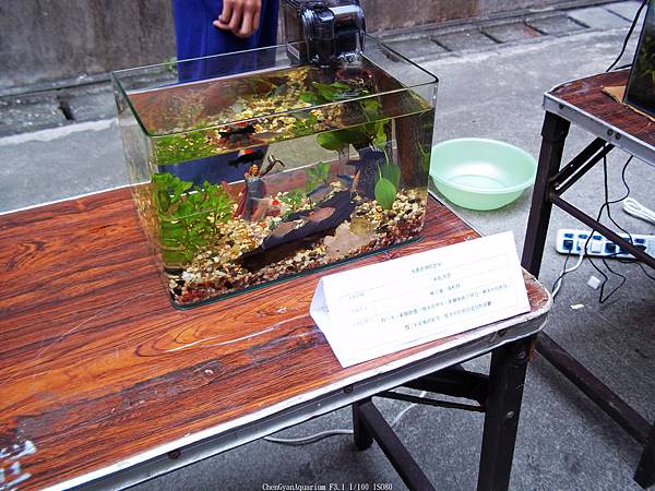 nEO_IMG_100_4081 第二期 (7).jpg nEO_IMG_100_4081 第二期 (7).jpg