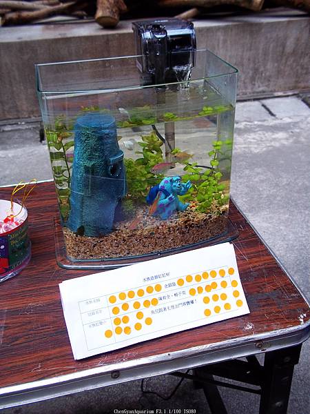 nEO_IMG_100_4081 第二期 (10).jpg nEO_IMG_100_4081 第二期 (10).jpg