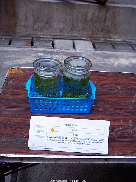 nEO_IMG_100_4081 第二期 (11).jpg nEO_IMG_100_4081 第二期 (11).jpg