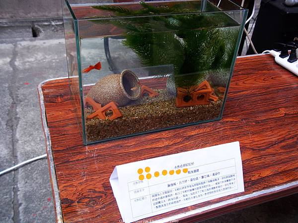 nEO_IMG_100_4081 第二期 (13).jpg nEO_IMG_100_4081 第二期 (13).jpg