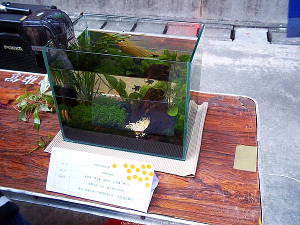 nEO_IMG_100_4081 第二期 (16).jpg nEO_IMG_100_4081 第二期 (16).jpg