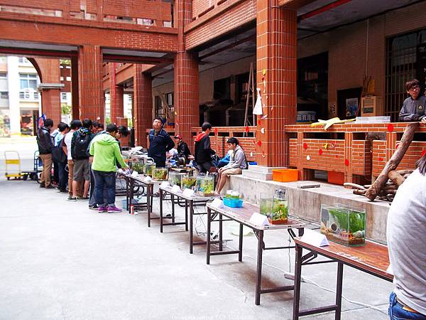 nEO_IMG_100_4081 第二期 (18).jpg nEO_IMG_100_4081 第二期 (18).jpg