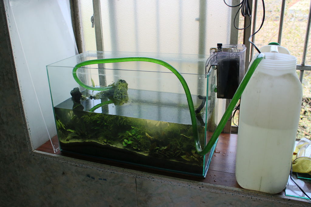 IMG_9597.JPG IMG_9597.JPG