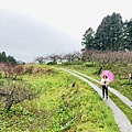 LINE_ALBUM_202227  福壽山農場_220210_47.jpg