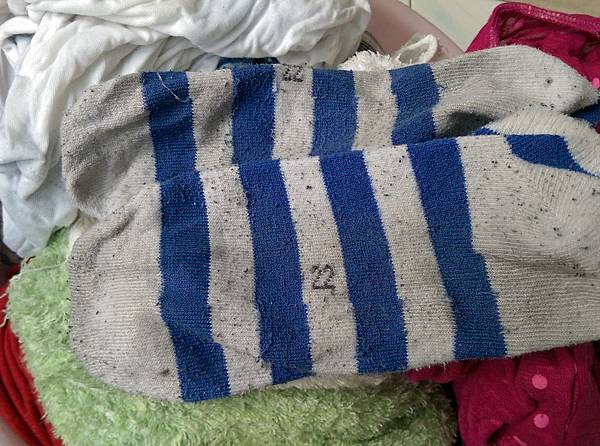 IMG_20150718_071643 IMG_20150718_071643