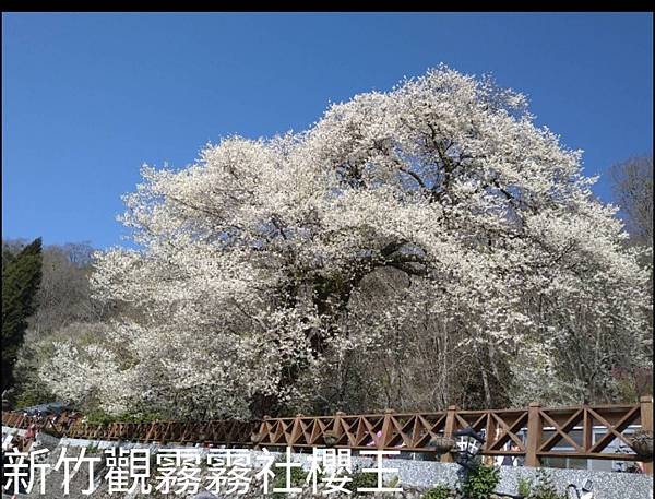 天上掉下來的禮物~接寶~