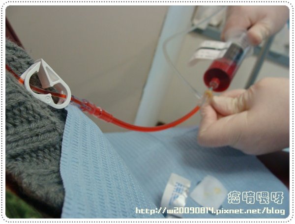 化療 第四次 小紅莓長什麼樣 首度曝光 癌唷喂呀 痞客邦