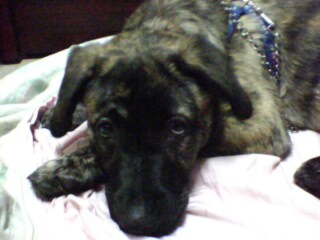IMG0176A.jpg IMG0176A.jpg