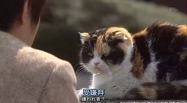 土九 三毛猫ホームズの推理 三毛貓 森的相簿 痞客邦