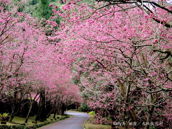 九族文化村 (38).JPG