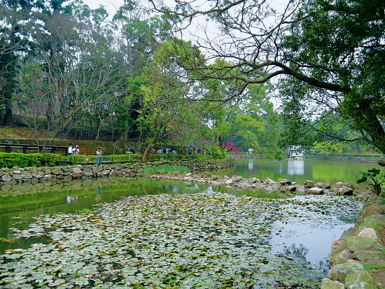 角板山形象商圈 (14).JPG