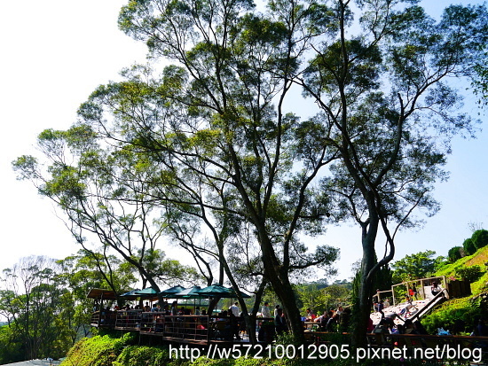 森林鳥花園.JPG 森林鳥花園.JPG